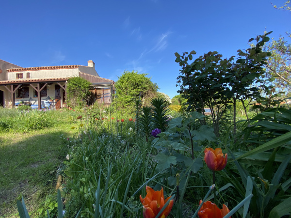 Offres de vente viager maison Brem-sur-Mer 85470